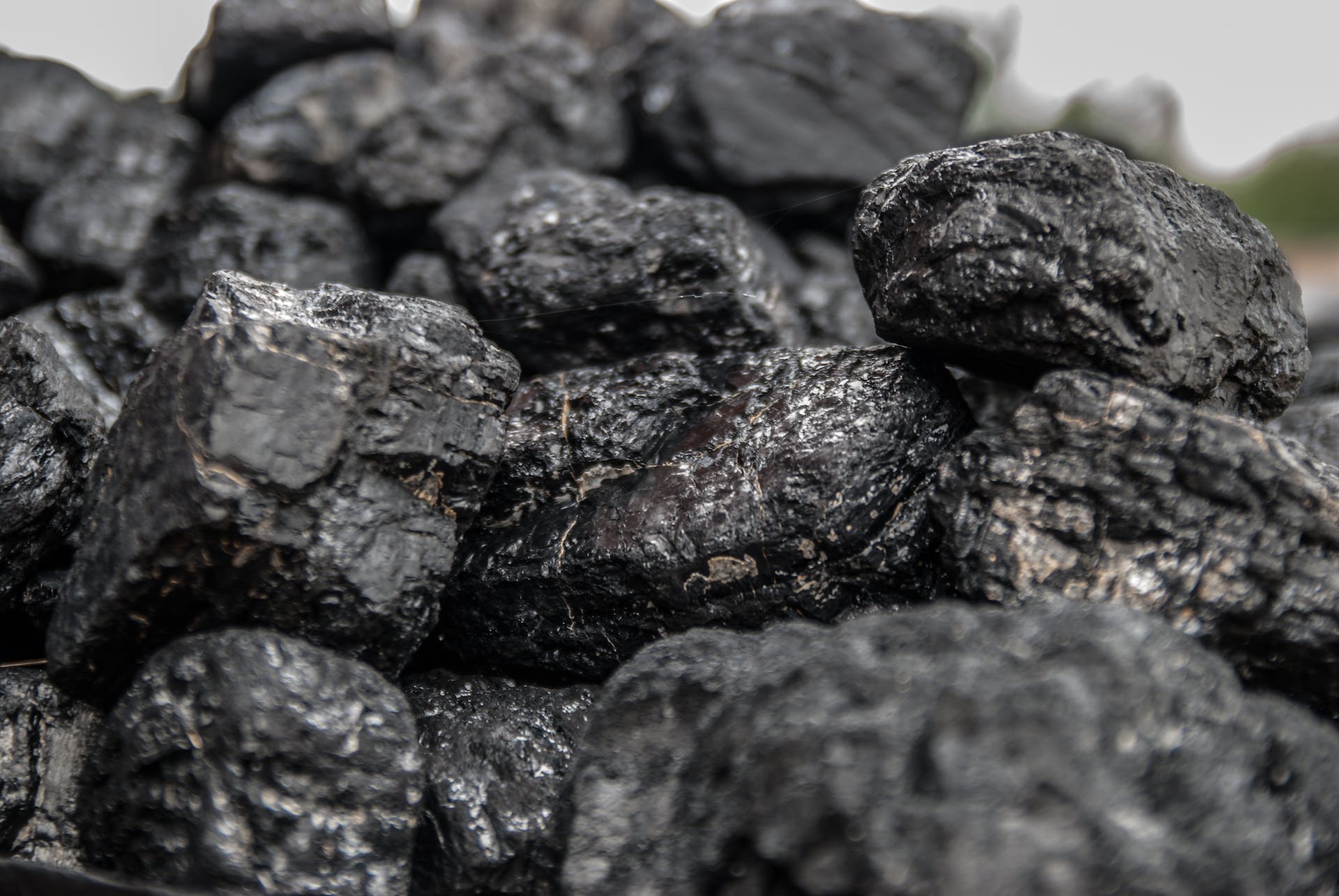 Co sprawia, że węgiel orzech jest tak popularny? Odkryjmy razem!
